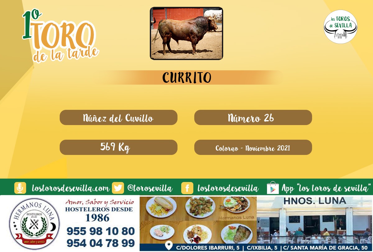 Los Toros de Sevilla tweet media