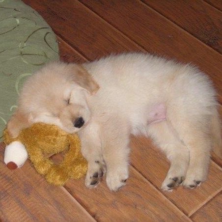 nongred🫕* tweet media