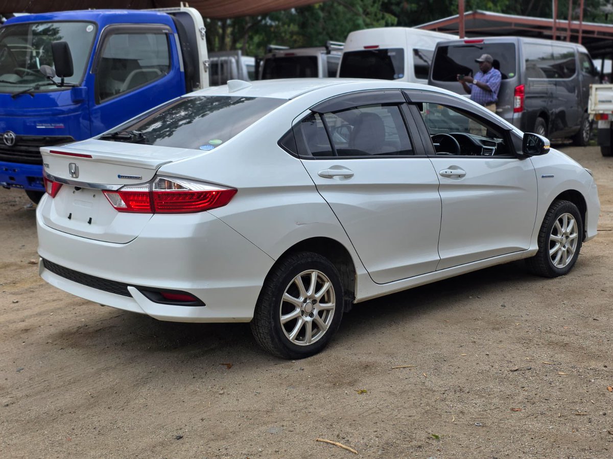 JENAMI ISAAC (CHIEF MTEKEDZA) tweet media