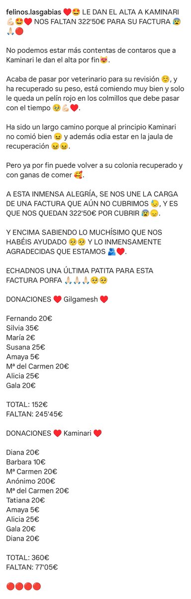 Felinos Las Gabias tweet media