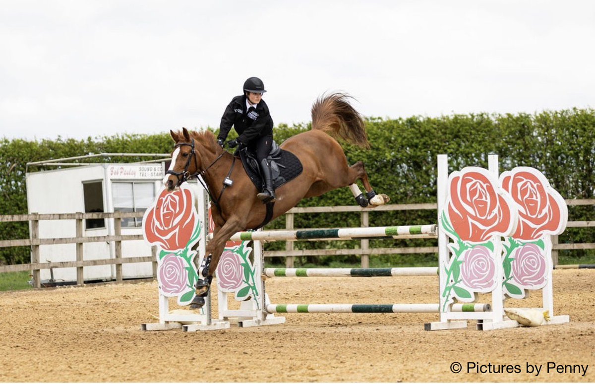 TVP Mounted Section tweet media