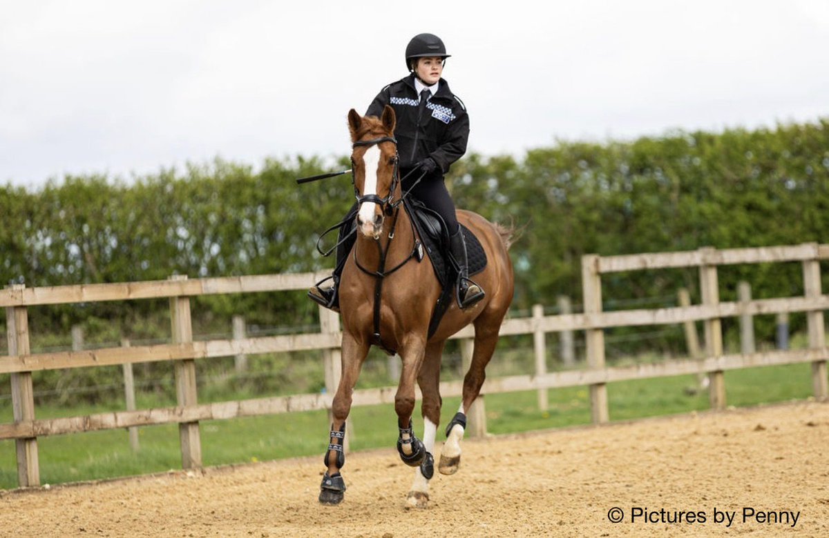 TVP Mounted Section tweet media