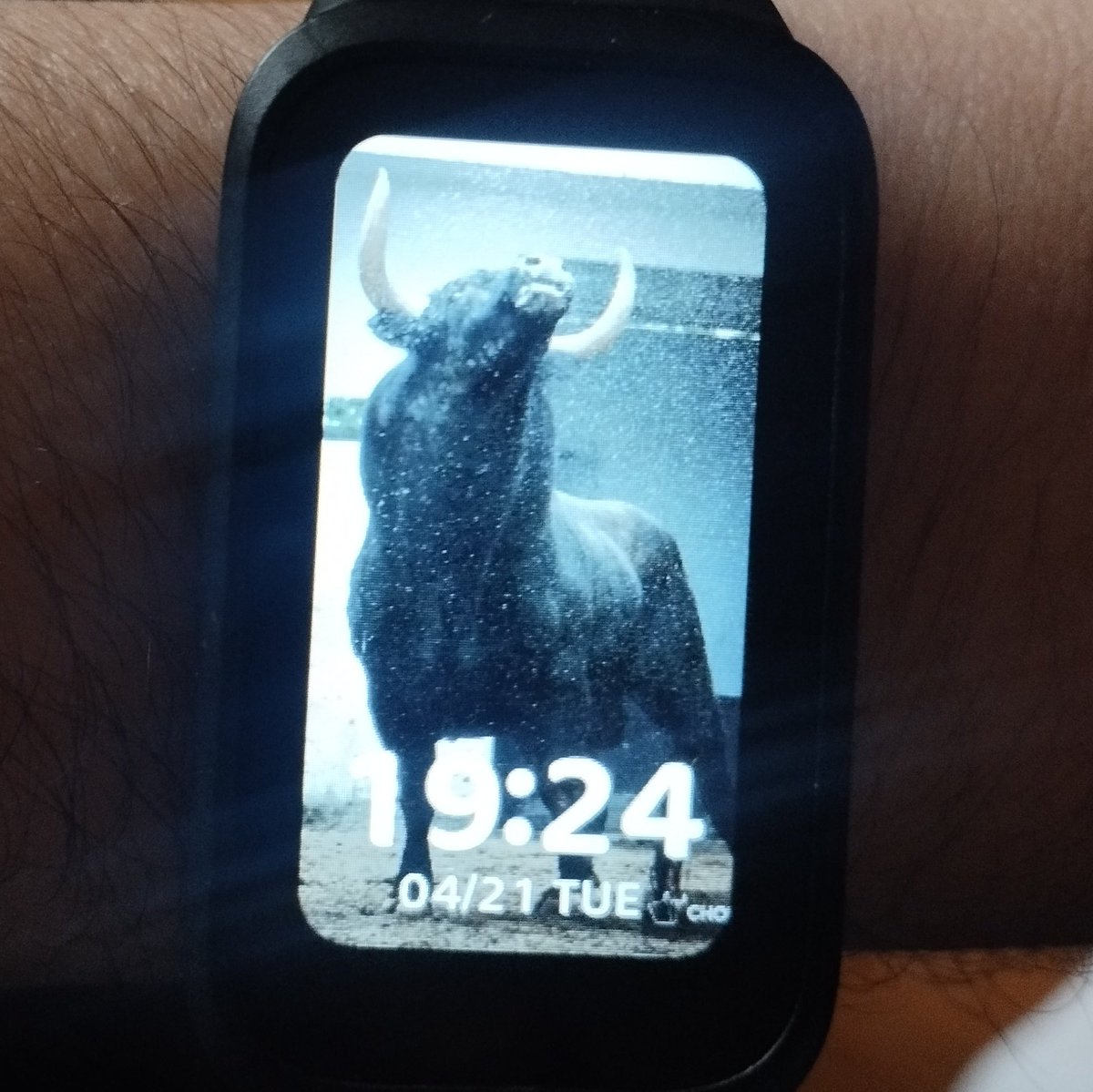 Jorge™ tweet media