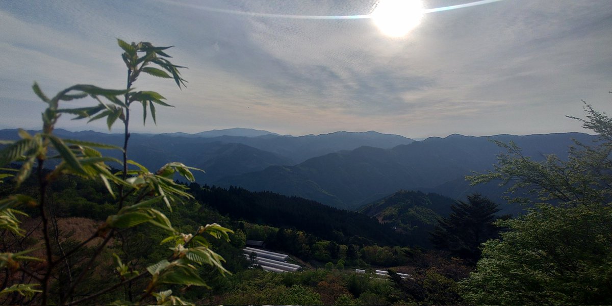 オキ丸 tweet media