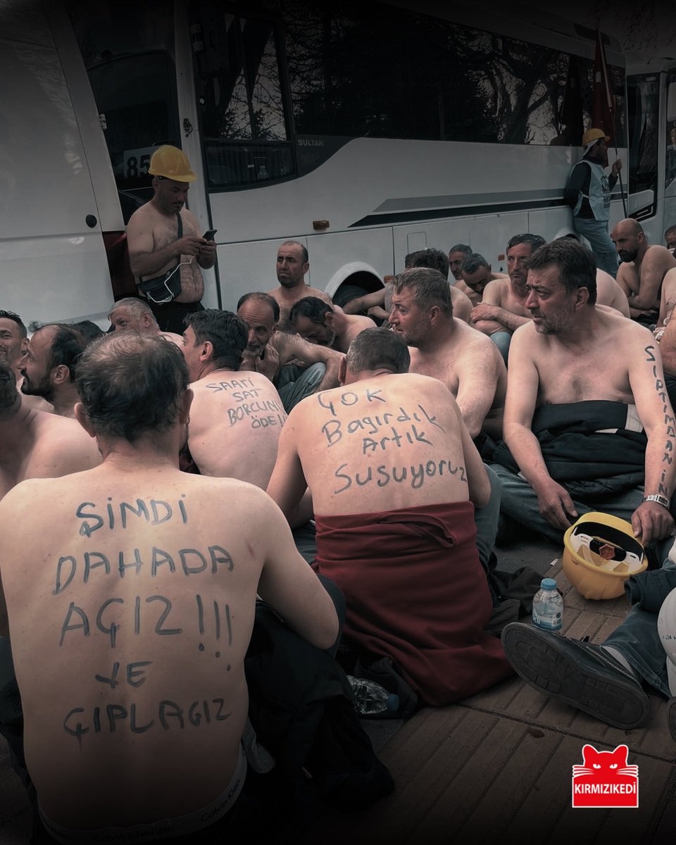 Davut Kap tweet media