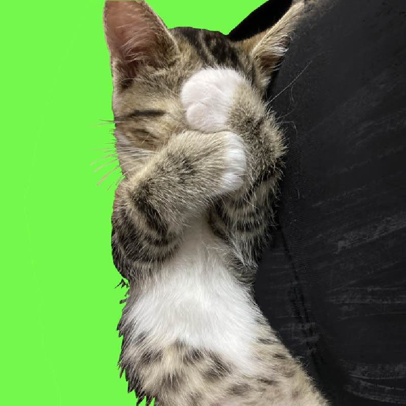 NewLifeWitches's tweet image. Introducing Grandma ( @CHAR_beinsocial ) the Water Witch in control of the Bayou.

linktr.ee/ChaoticEra

#NewLifeWitches #MinecraftSMP #WaterWitch #NewLifeWitchesSMP