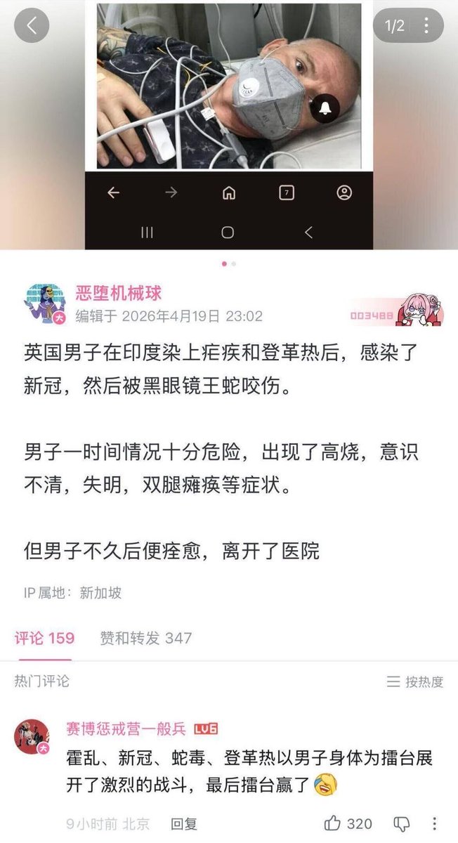 雲鳩 tweet media