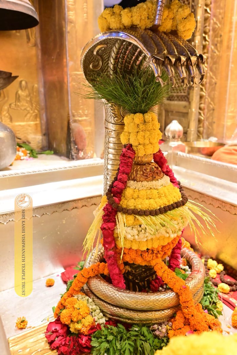 ShriVishwanath's tweet image. श्री काशी विश्वनाथ जी की श्रृंगार आरती I
#kashivishwanath #kashi #hindu #sanatandharm