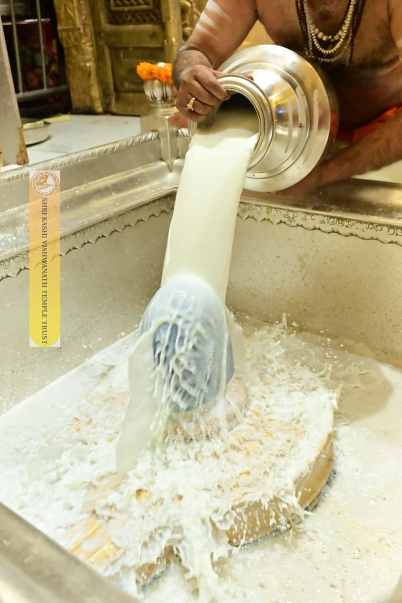 ShriVishwanath's tweet image. श्री काशी विश्वनाथ जी की श्रृंगार आरती I
#kashivishwanath #kashi #hindu #sanatandharm