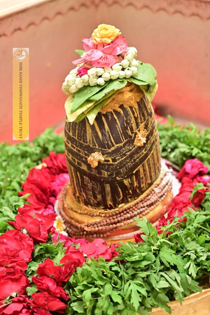 ShriVishwanath's tweet image. श्री काशी विश्वनाथ जी की श्रृंगार आरती I
#kashivishwanath #kashi #hindu #sanatandharm