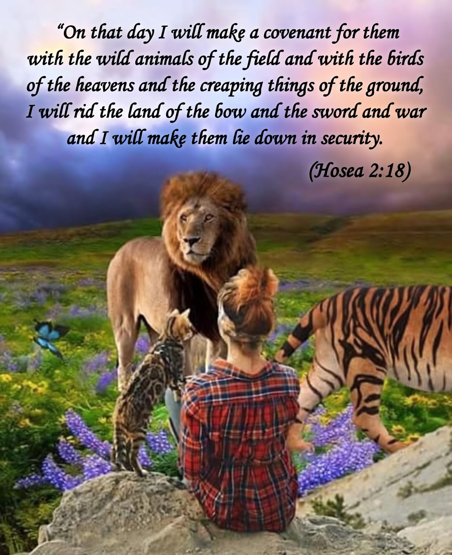 ALiaSFiLTh tweet media