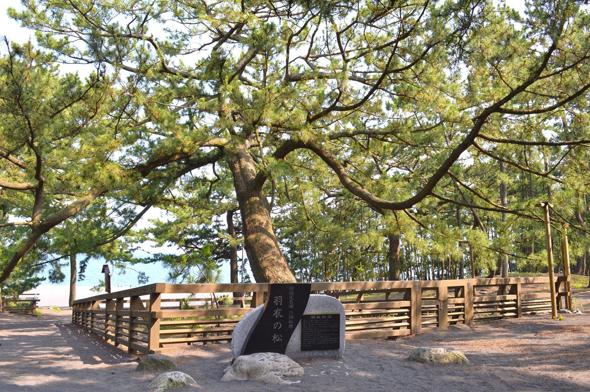 置き猫 tweet media