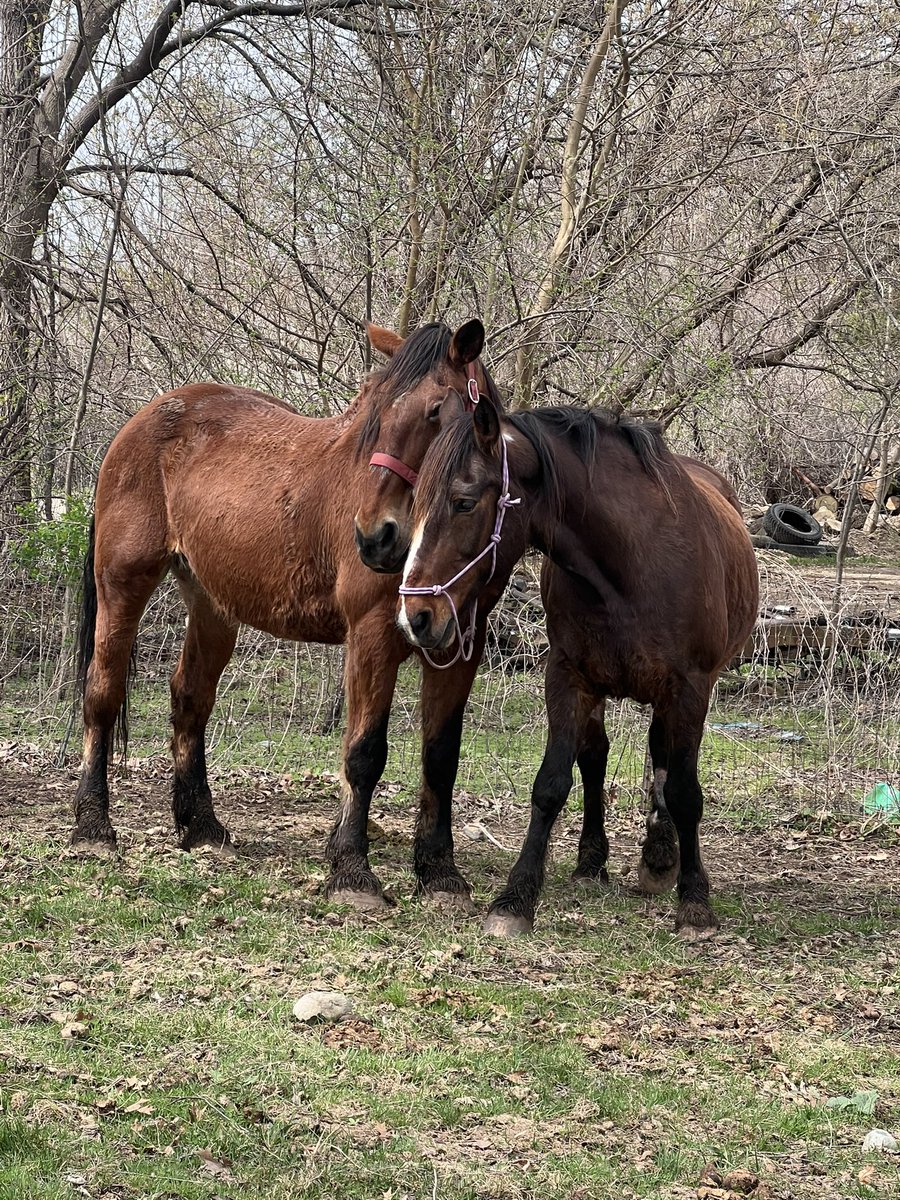 michelle tweet media