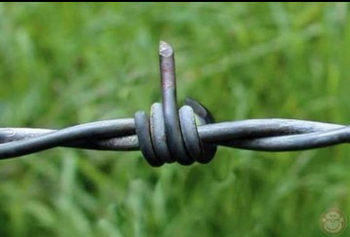 💚💚💚 آســـر :::::: tweet media