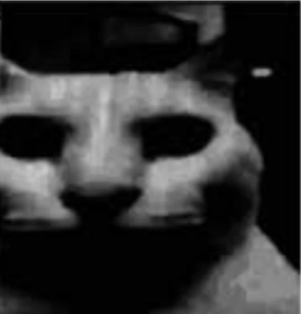 ❖ Sleep.King ❖ tweet media