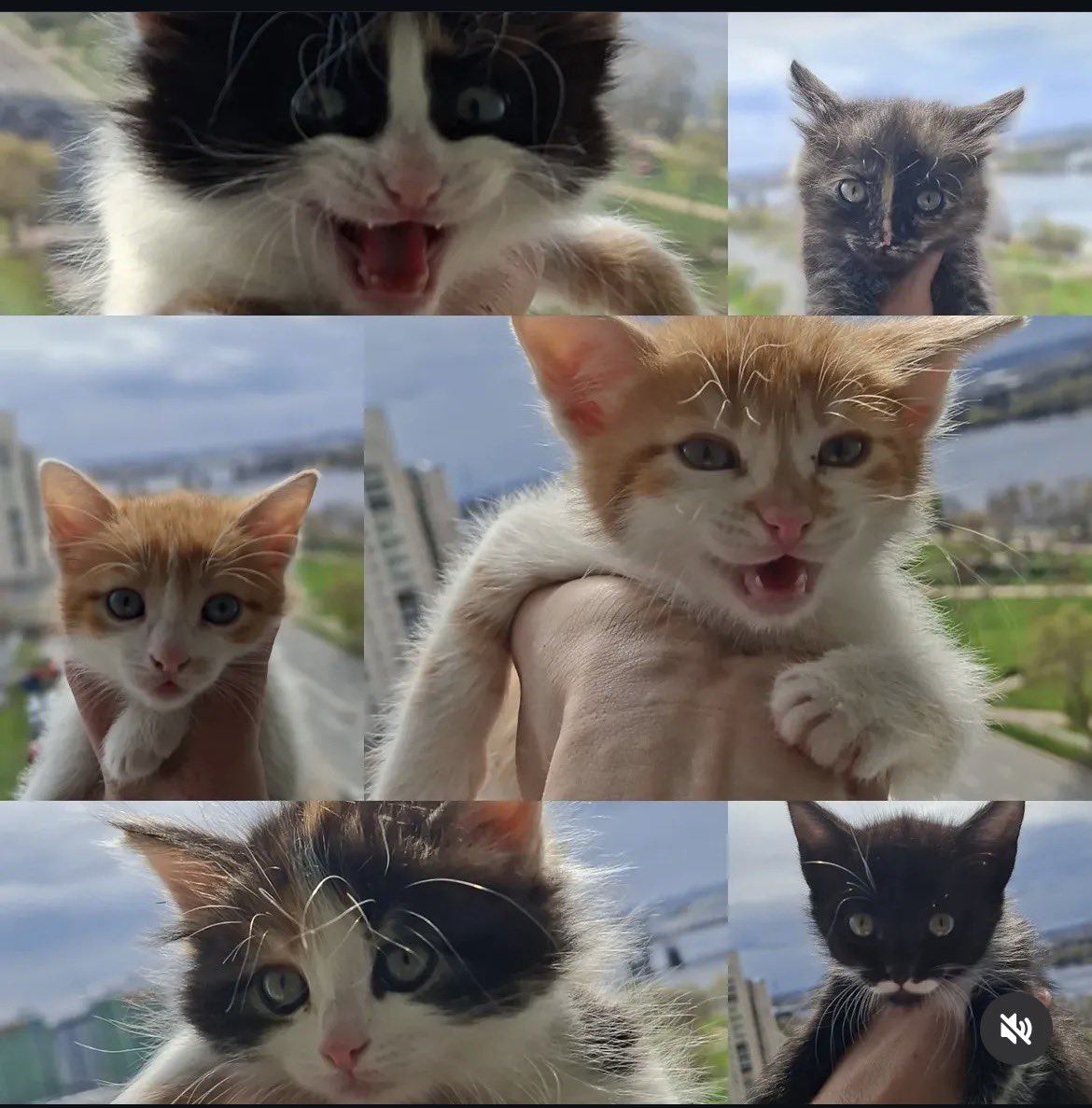 Київ ‼️
Кому китиків з Донбасу? Пишіть, сконтактую з людиною ☺️