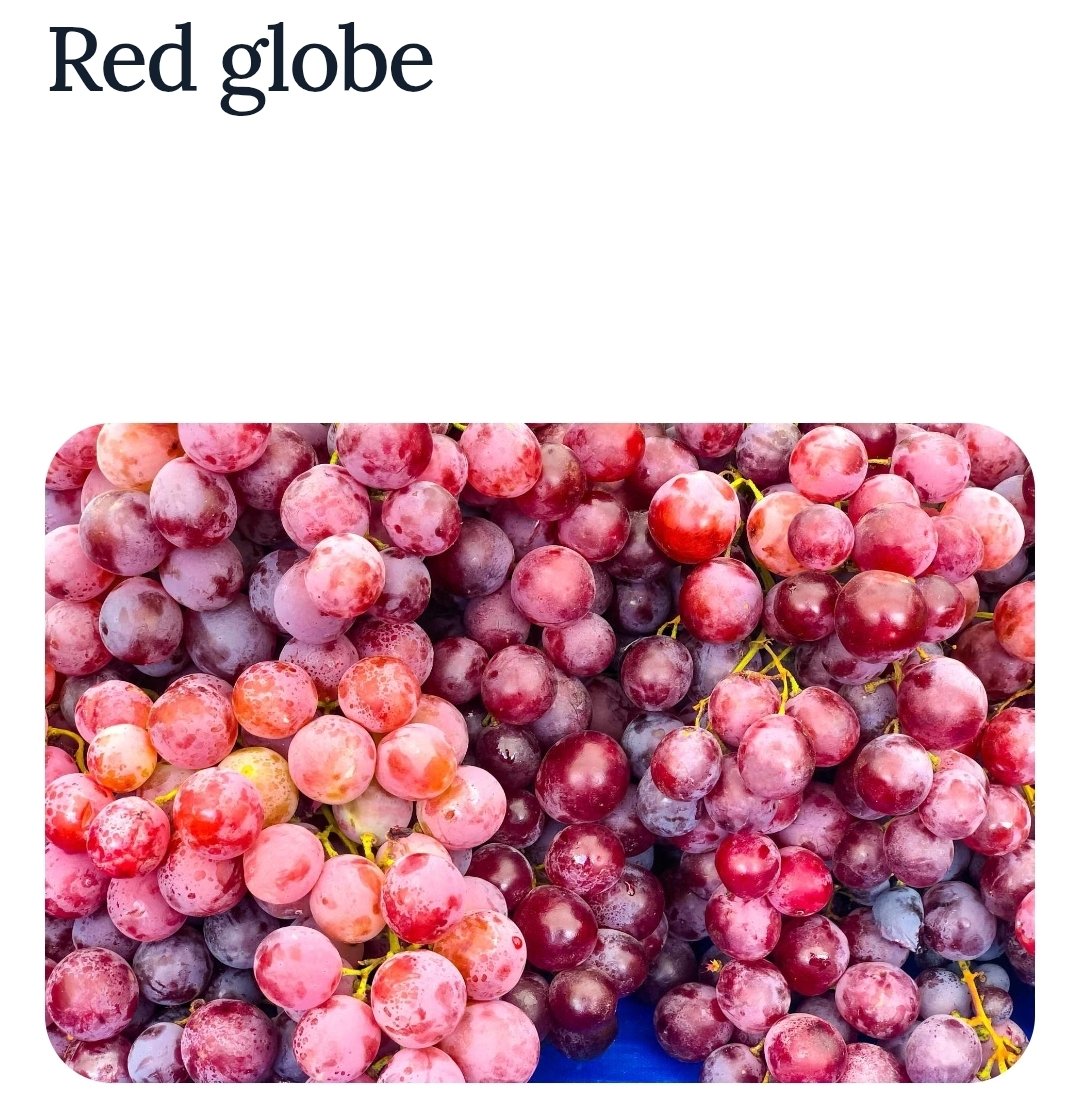 JayasreeVijayan's tweet image. My favorite fruit #Grapes  6.