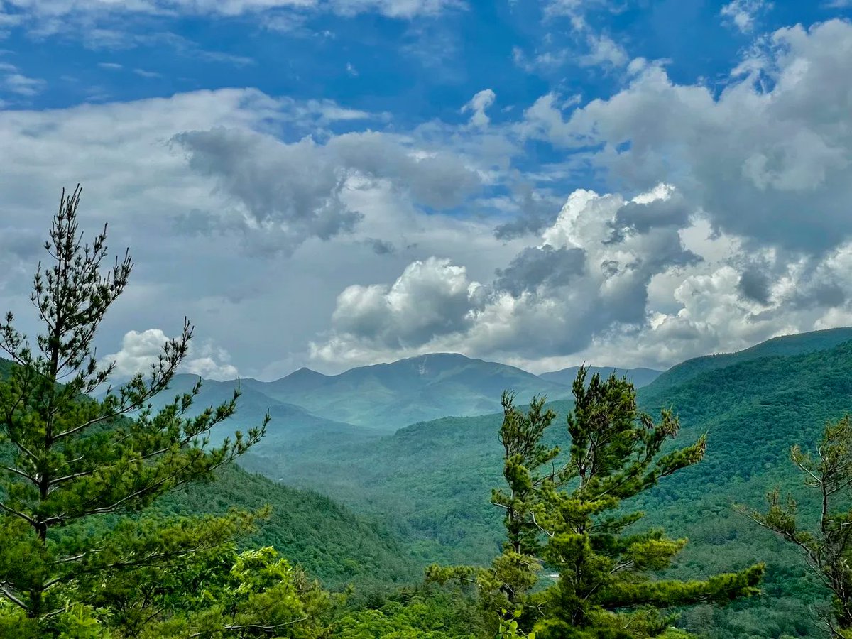 RocketSPRKT (coach) 🇺🇸🐉 tweet media