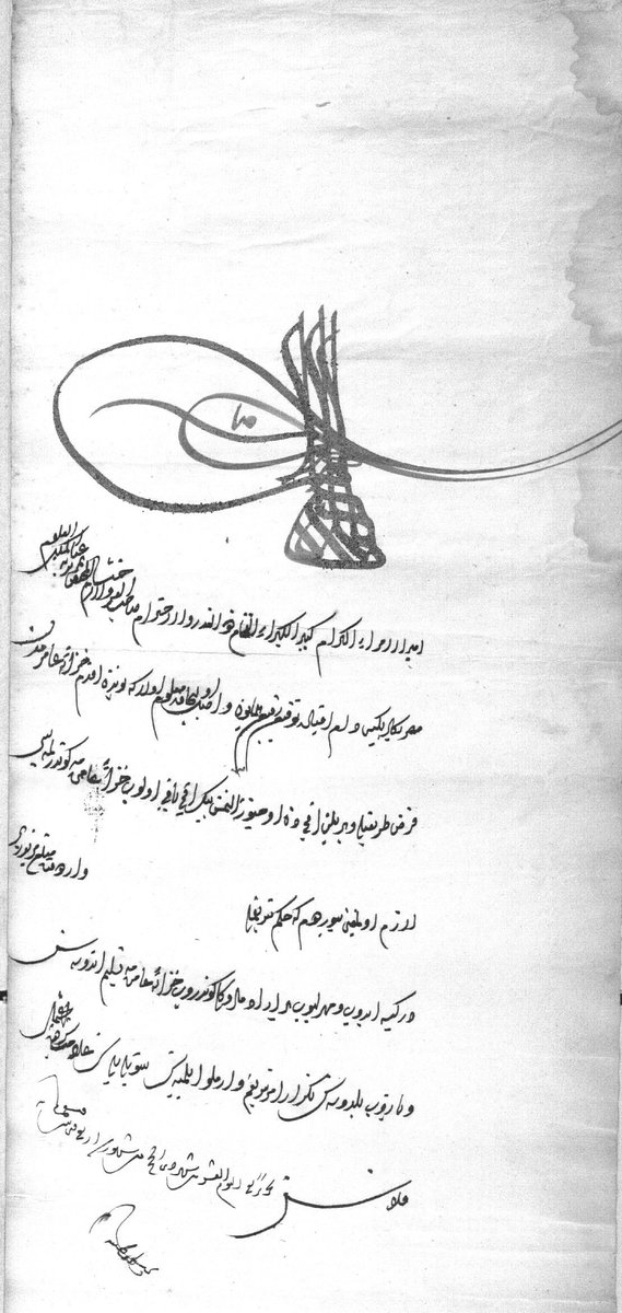 Talha Hızal tweet media