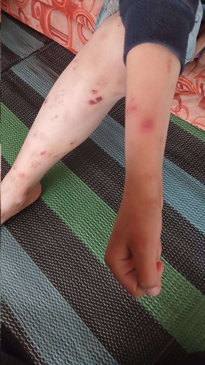 the yazan & Hanaa family tweet media