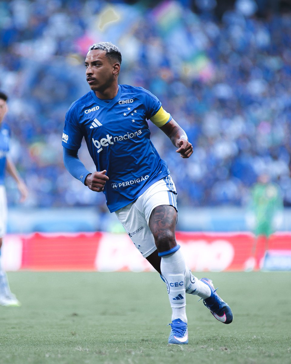 Ginga Bonito 🇧🇷 tweet media