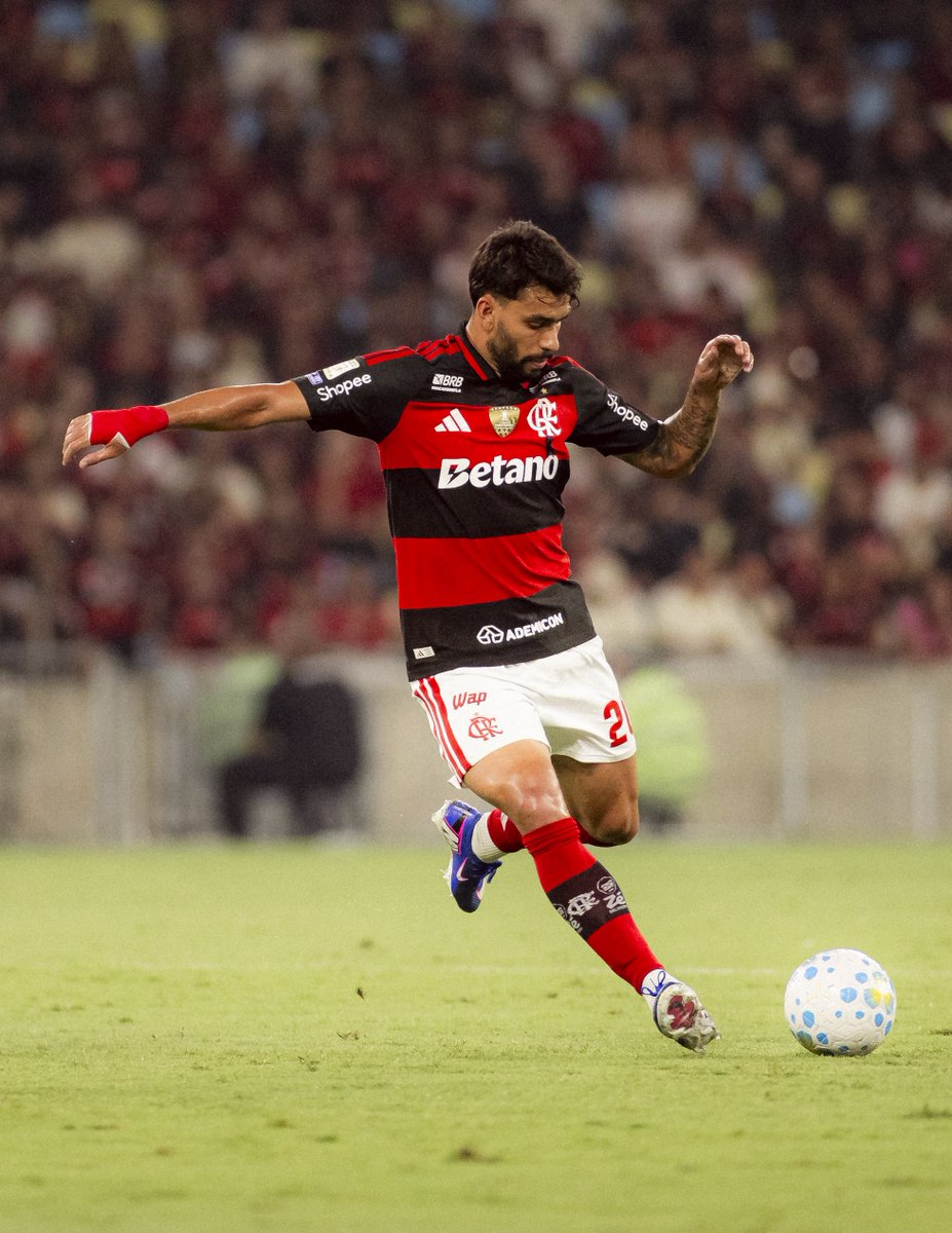 Ginga Bonito 🇧🇷 tweet media