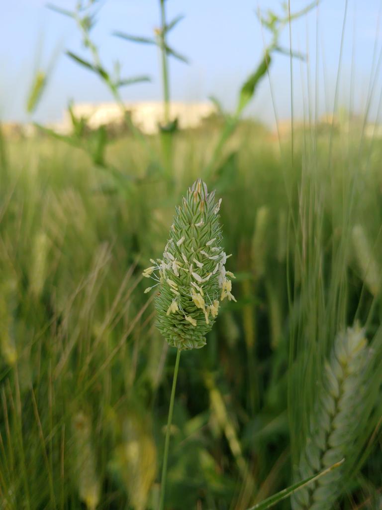 🇩🇿 يانيس 🇩🇿 tweet media