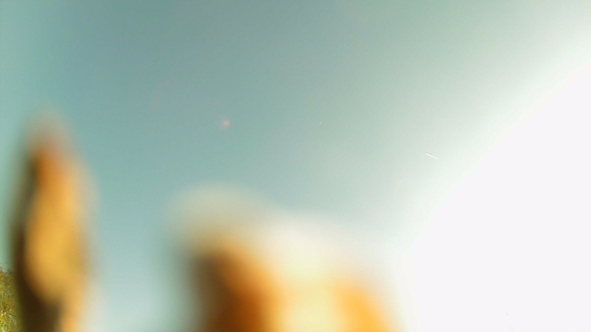 DeepdaleWeather's tweet image. Dry 9.7°C Hum 74 Wind 7.8 mph NNE (Force 2) - More info &amp;amp; data online deepdalecamping.co.uk/weather/ #Weather #sky