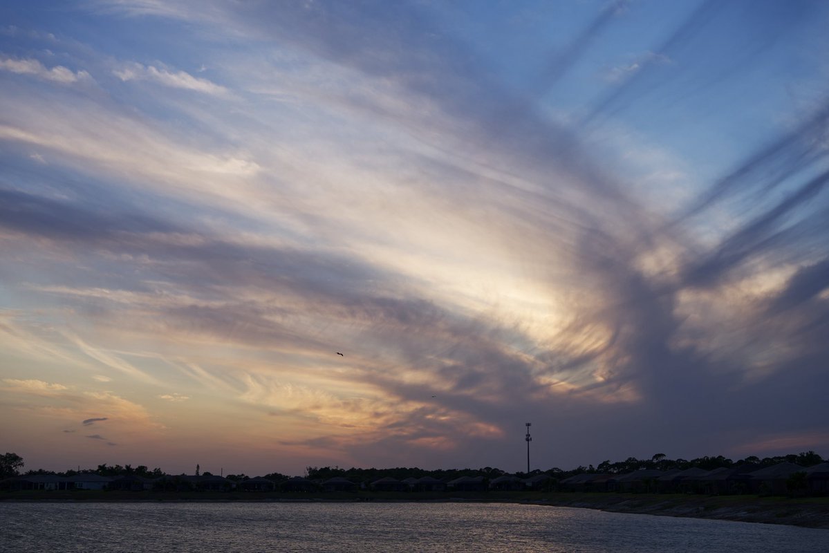 David K 🤔 tweet media