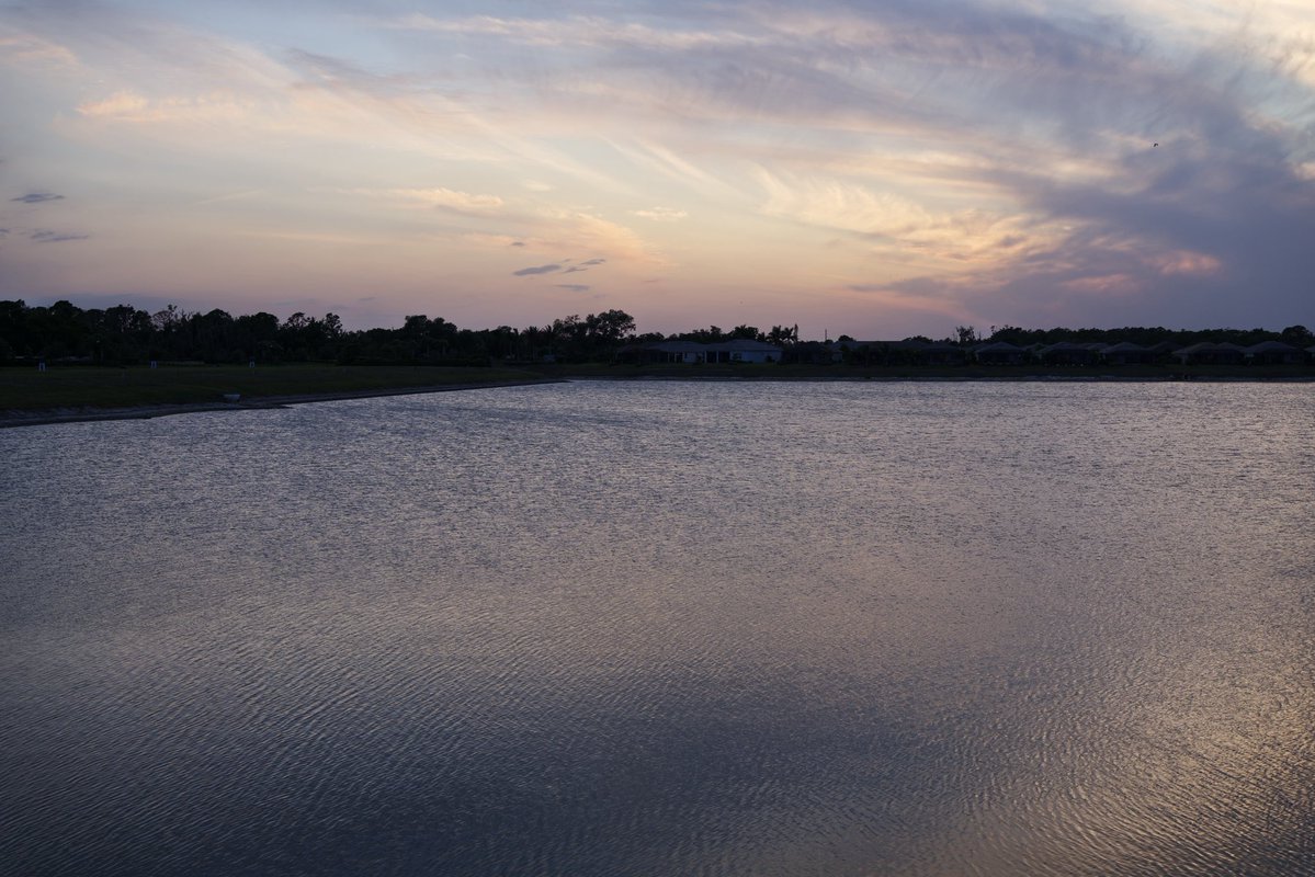 David K 🤔 tweet media