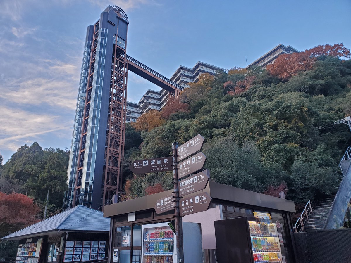 お魚くわえたザサエさん tweet media