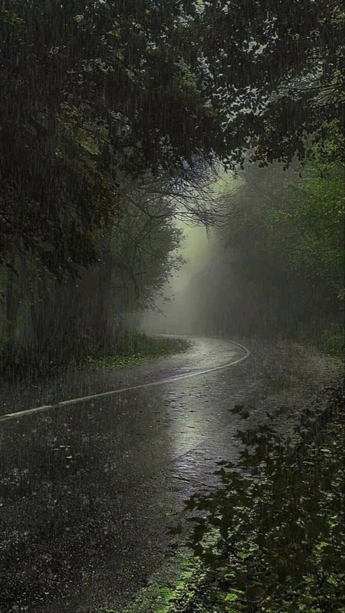 𝘯𝑎𝘵𝑢𝘳𝑒. tweet media