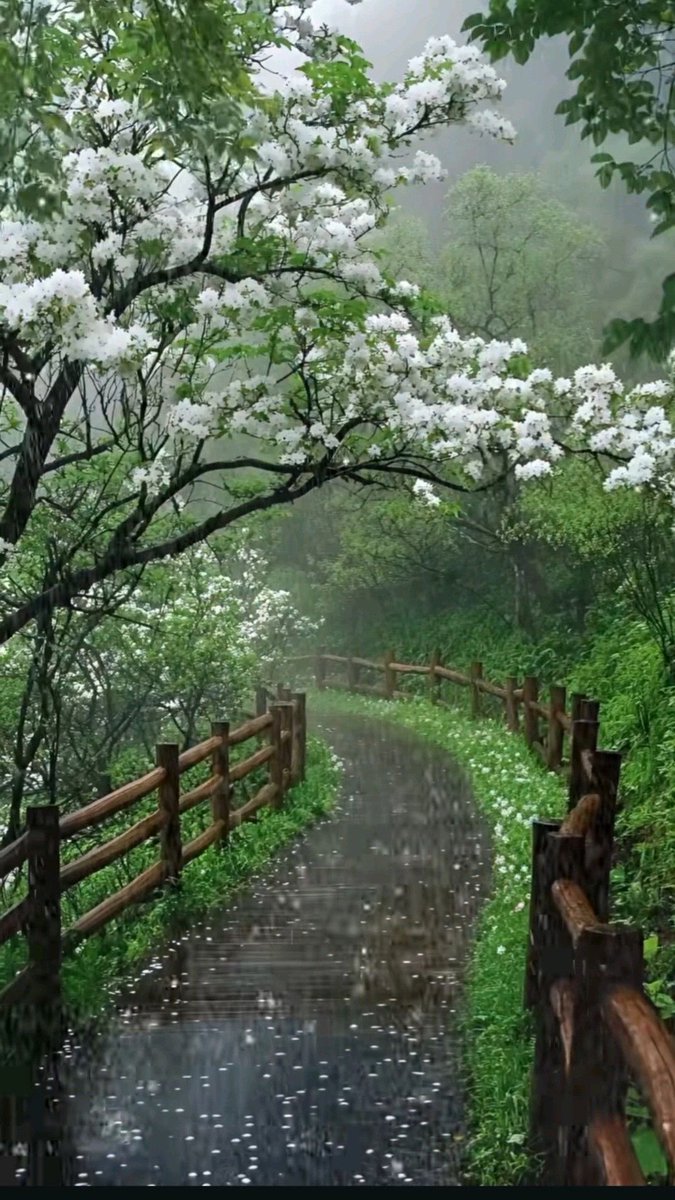 𝘯𝑎𝘵𝑢𝘳𝑒. tweet media