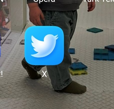 Kedi İthalatcisi 🐱 🐈 (1312-2=1310) tweet media