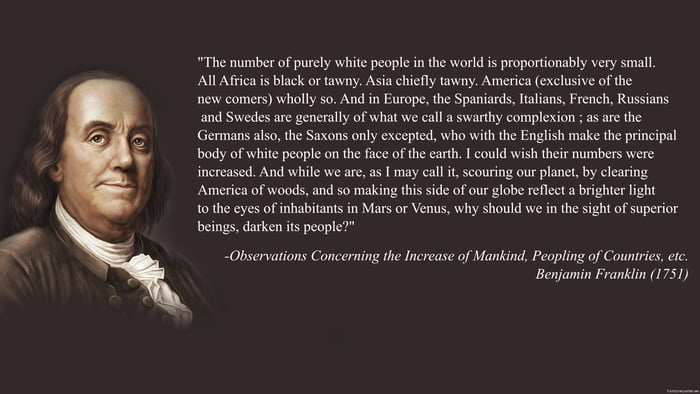 Hikaru_Shidou 🌲 tweet media