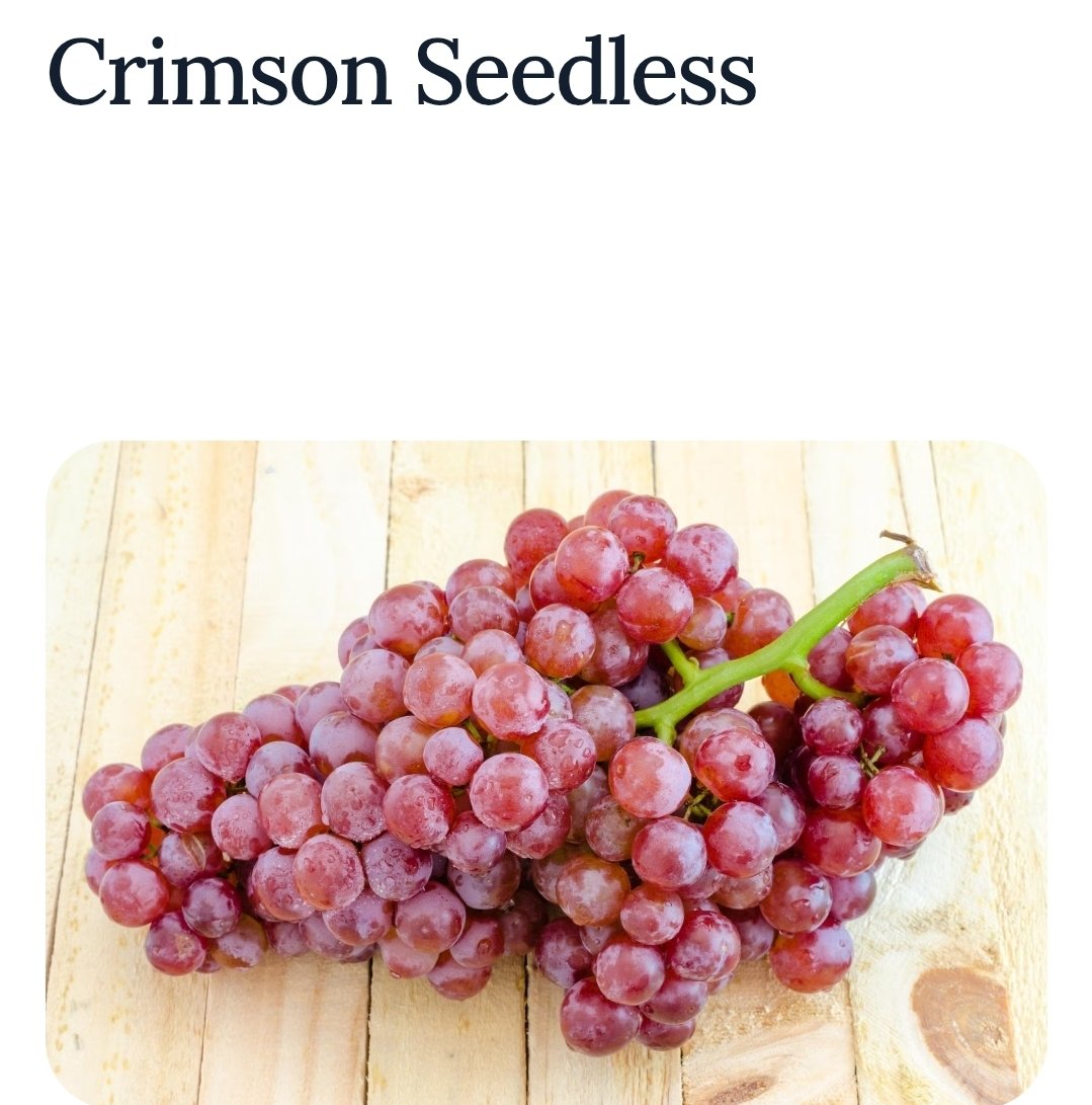 JayasreeVijayan's tweet image. My favorite fruit #Grapes  10.