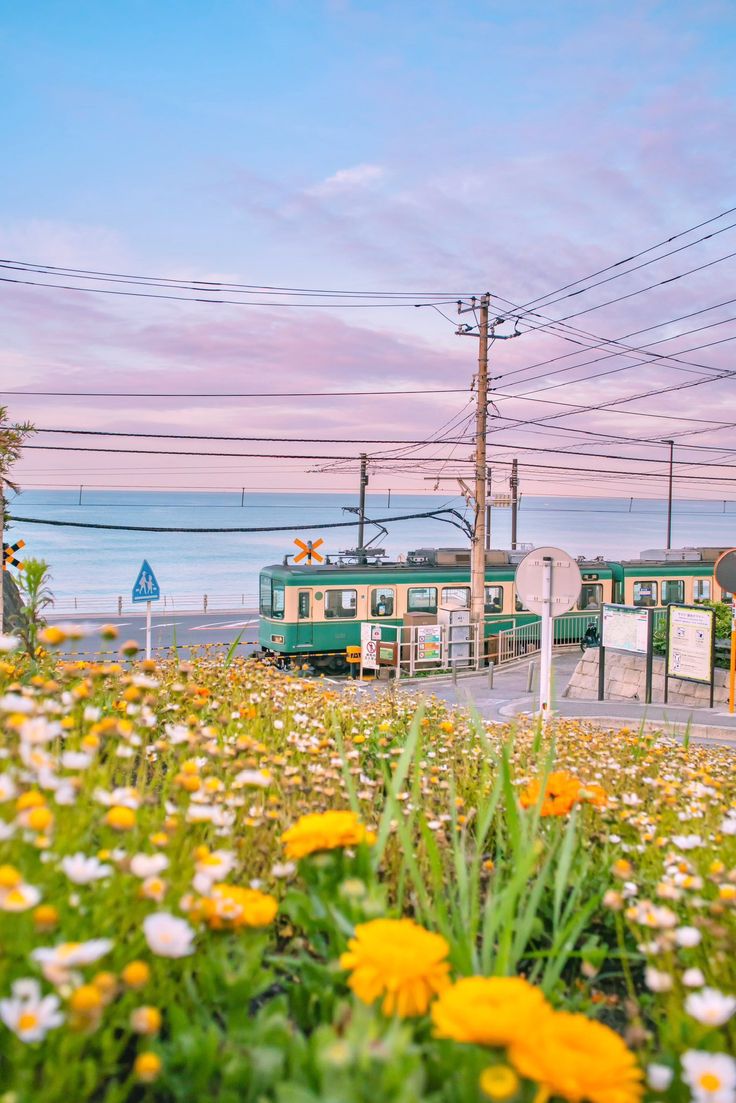 ocean 🌊 tweet media