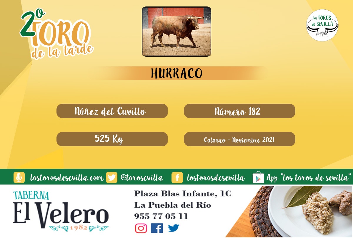 Los Toros de Sevilla tweet media
