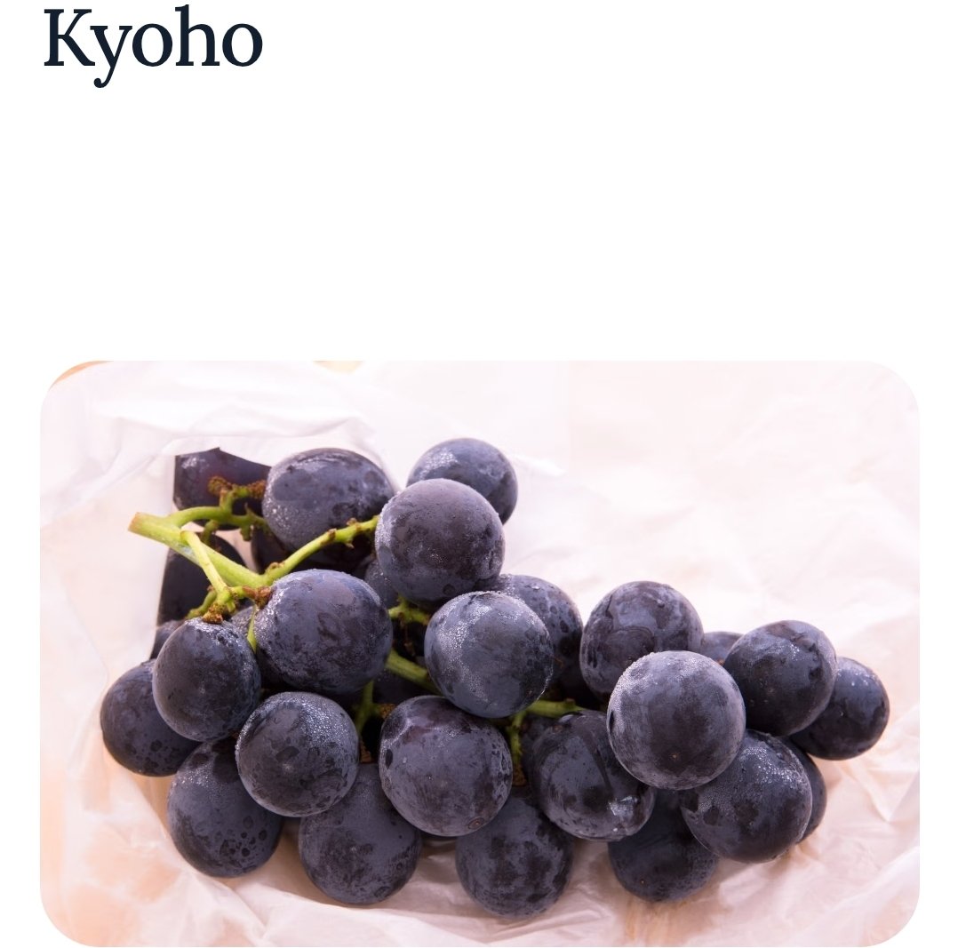 JayasreeVijayan's tweet image. My favorite fruit #Grapes  12.