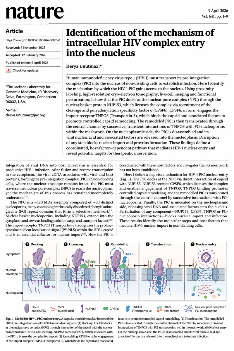 Adele Li tweet media