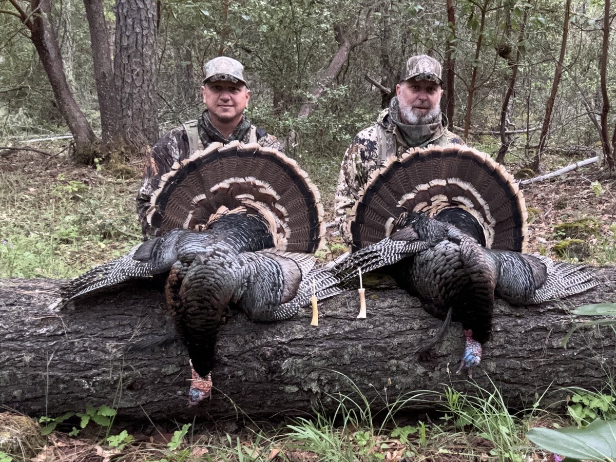 teamwingbone's tweet photo. West Coast photo dump… #wingbone #gobbler https://t.co/YUzrd4YLia