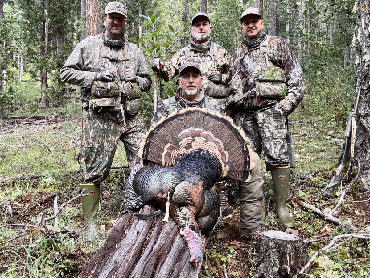 teamwingbone's tweet photo. West Coast photo dump… #wingbone #gobbler https://t.co/YUzrd4YLia