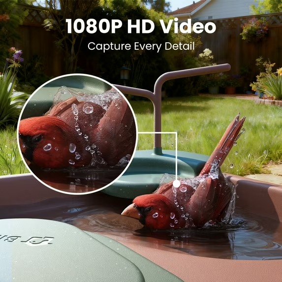 CheeperDeals's tweet image. Birdfy Smart Bird Bath with Camera Solar Powered,

🛒 sovrn.co/160j9f5 

#AD #SALE #DEALS #Walmart