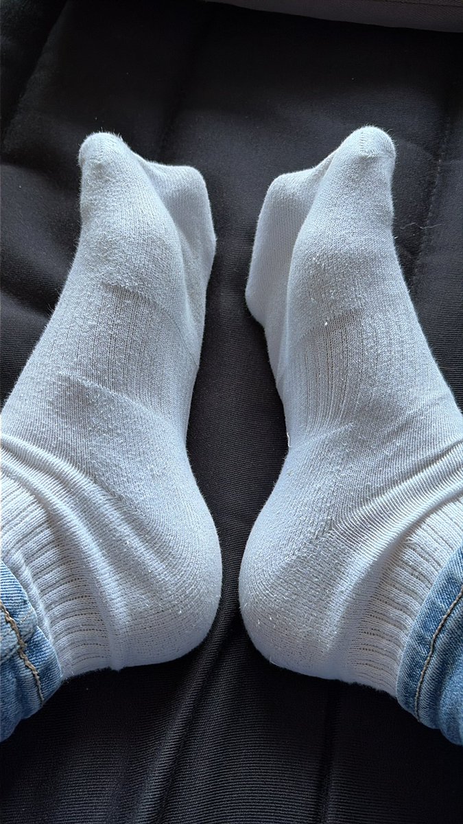 Ton Maitre tweet media