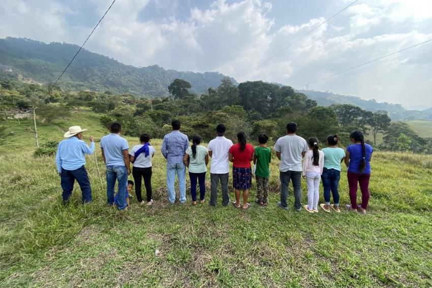 Avispa Mídia tweet media