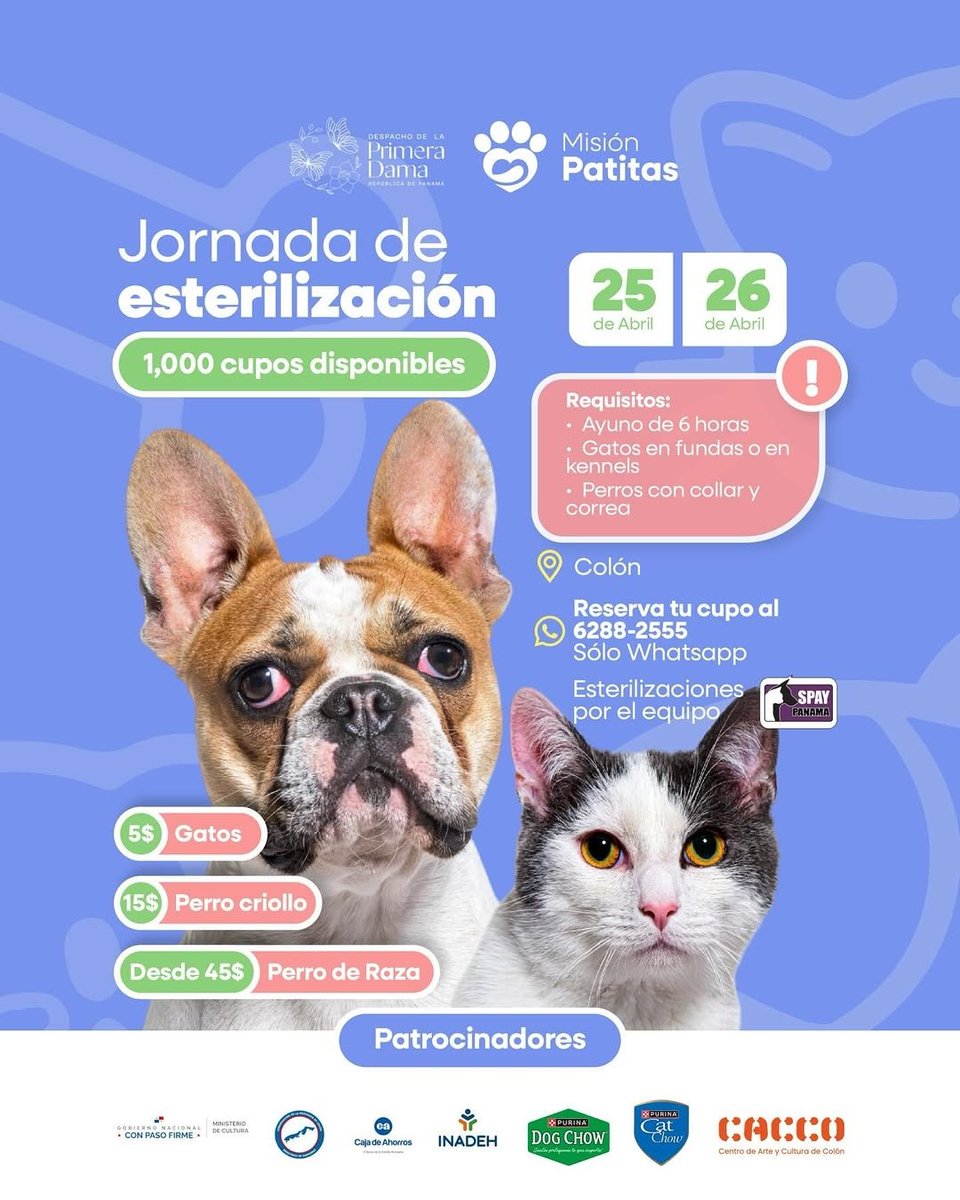 Spay Panama tweet media