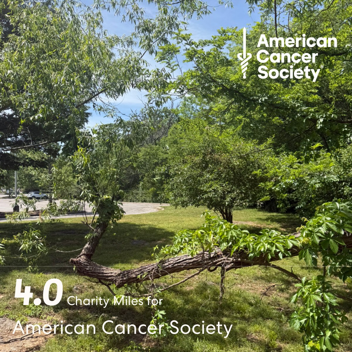bigorangemichae's tweet image. 4.0 Charity Miles for American Cancer Society. #running 🏃‍♂️#run