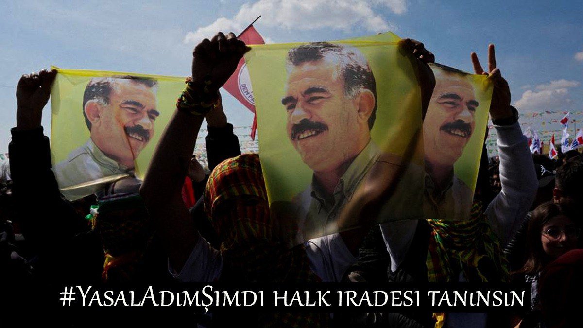Ayla selim 3 tweet media