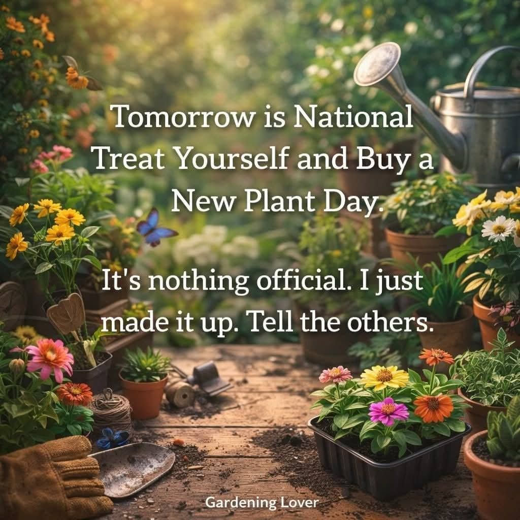 Enough Is Enough tweet media