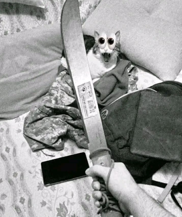 Nico308(*-*) tweet media